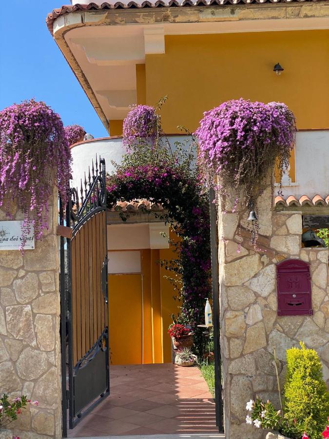Rosa Dei Venti Accomodation Tropea Exterior foto